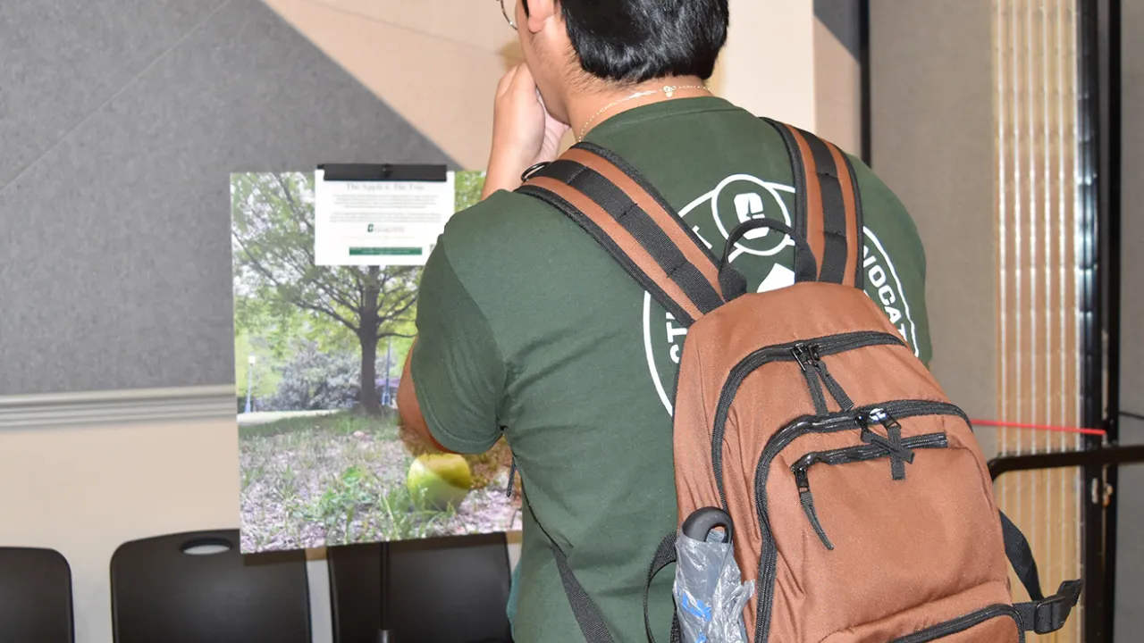 Student viewing the photovoice photos